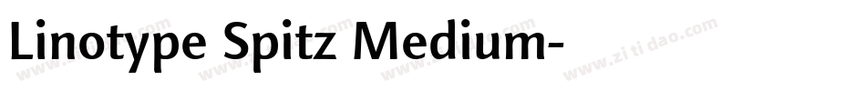 Linotype Spitz Medium字体转换